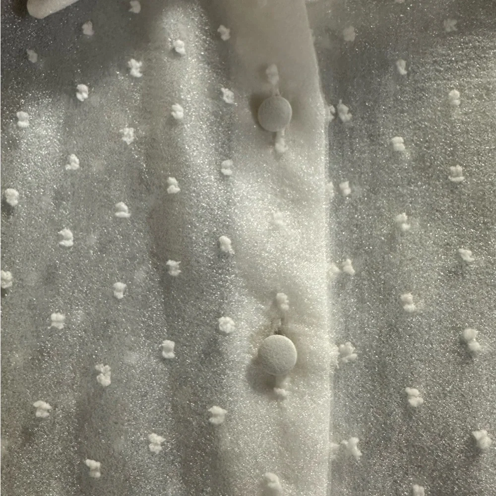 🌻 Zara Sheer Swiss Dot Puff-Sleeve Blouse 🌻